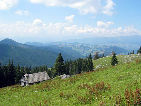 bran countryside2.jpg